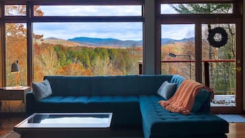 Smart TV, fireplace, video games, DVD player