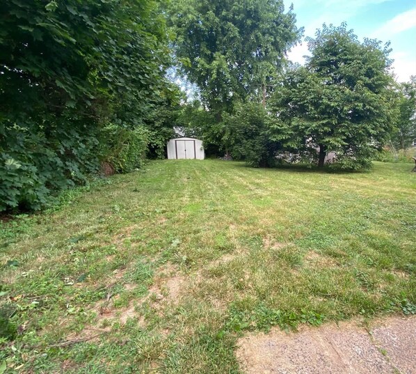 A grassy yard with a small shed, surrounded by dense foliage. - Private Apartment  in Berlin (Berlin)