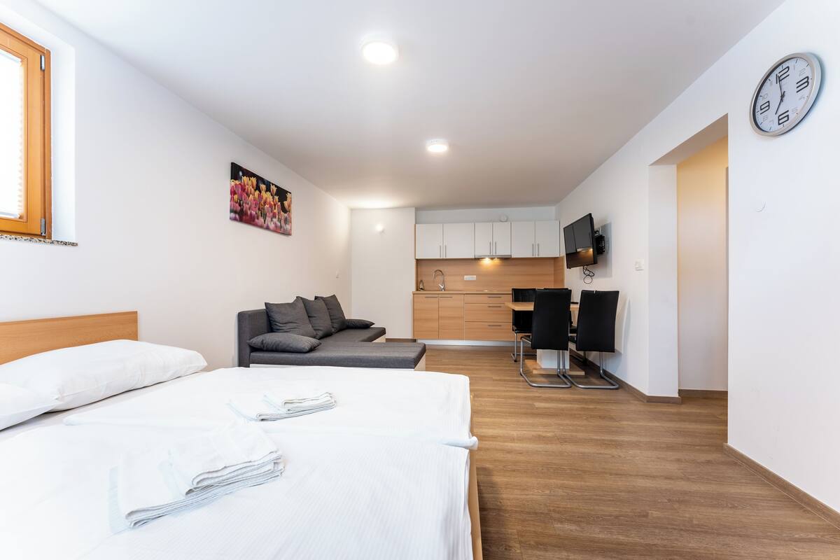 Superior Studio Apartment with Terrace | บริเวณนั่งเล่น | ทีวีจอแบน