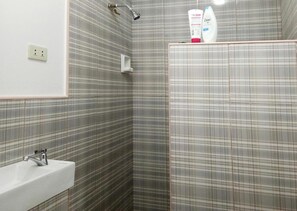 Regadera, toallas, jabón, shampoo 