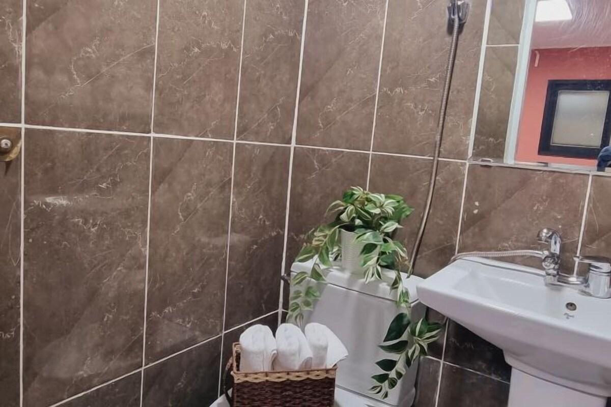 A bathroom with a sink, a mirror, and a potted plant.