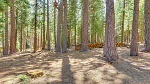 A forest with tall trees and a stack of logs. - Forest-view Haven w/ Game Room: Tahoe City Gem! (Tahoe City)
