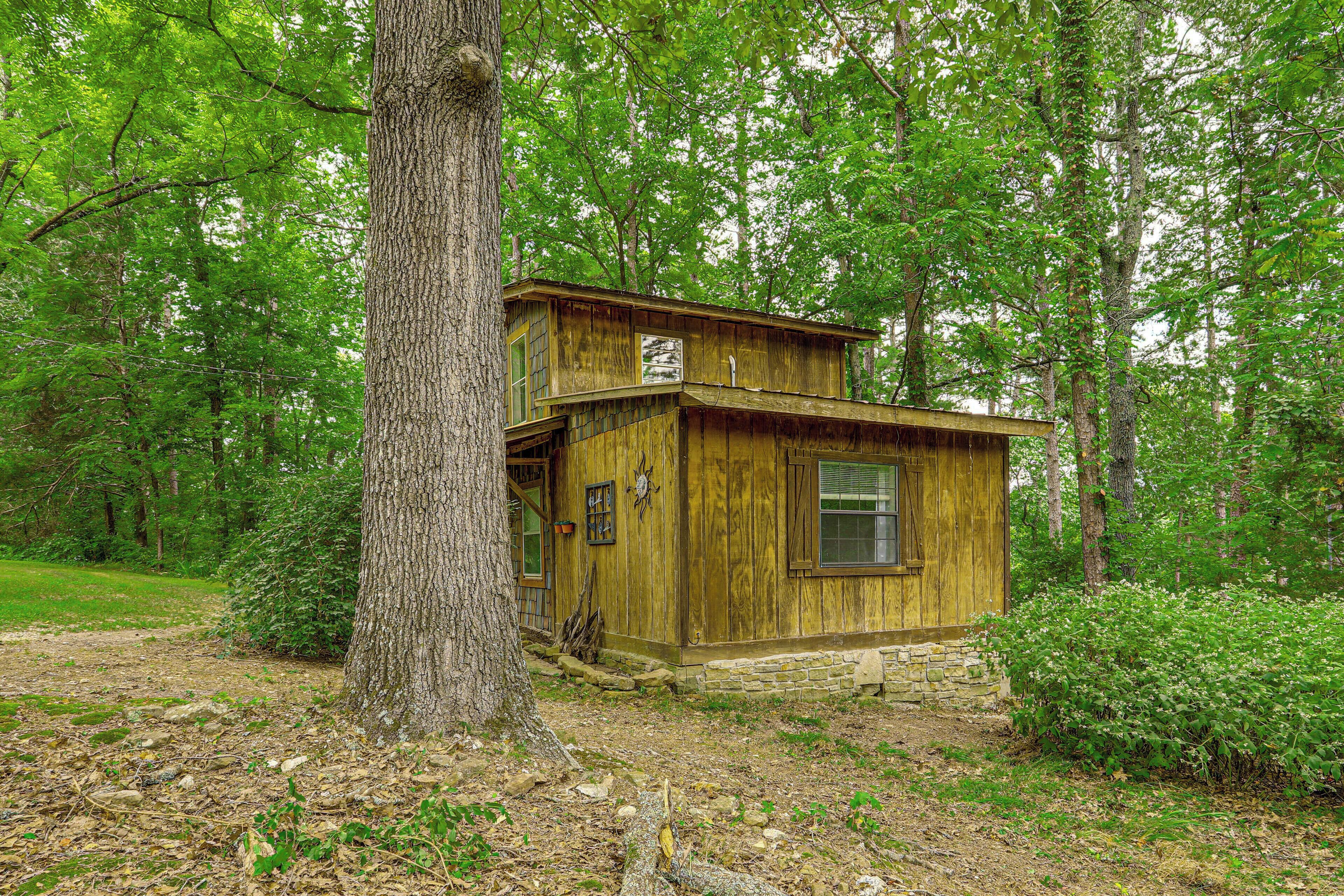 A rustic wooden cabin with a stone foundation, surrounded by dense forest.
