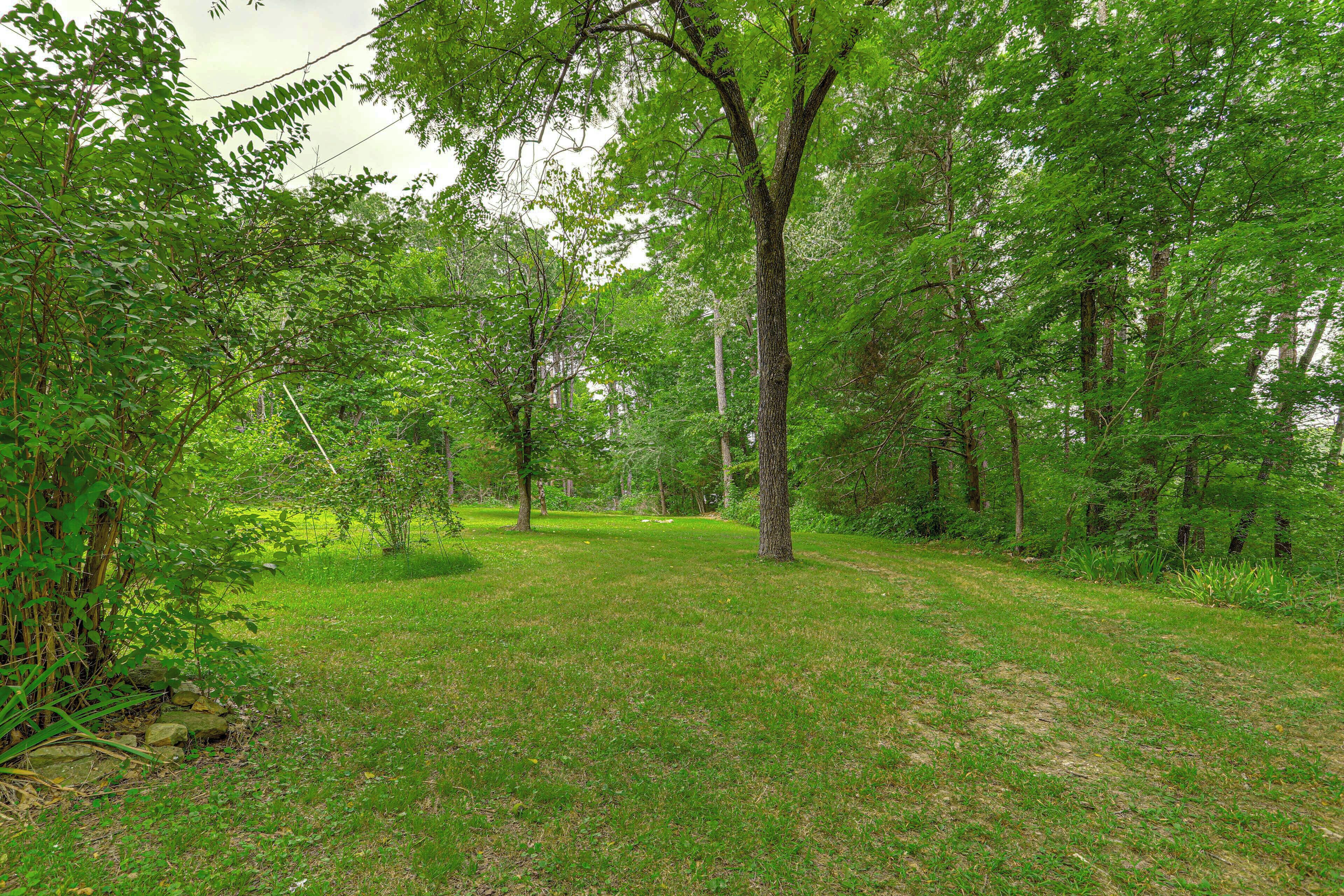 A grassy area with trees and a stone wall.