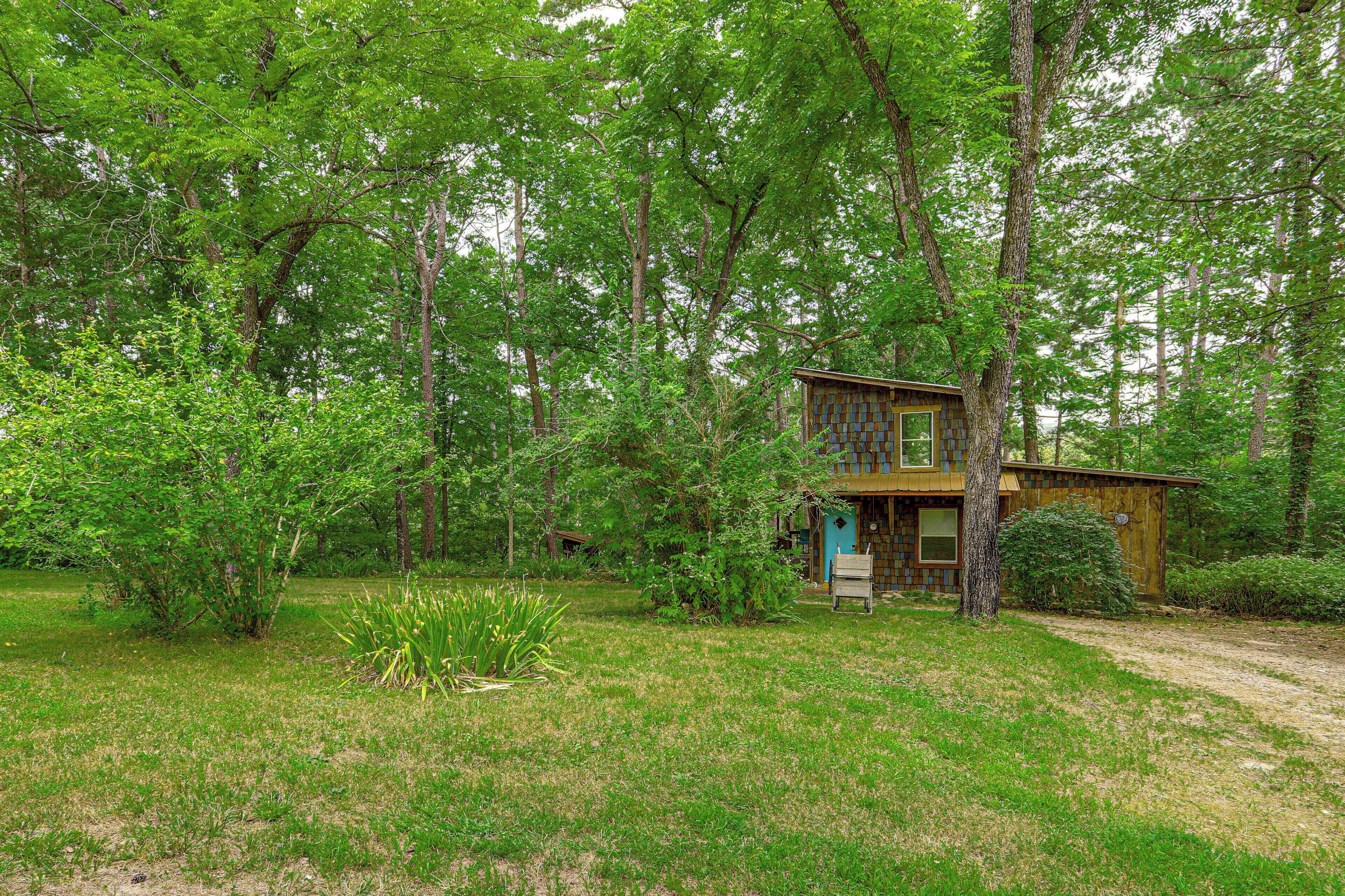A rustic cabin surrounded by dense forest, with a dirt path leading to the entrance.