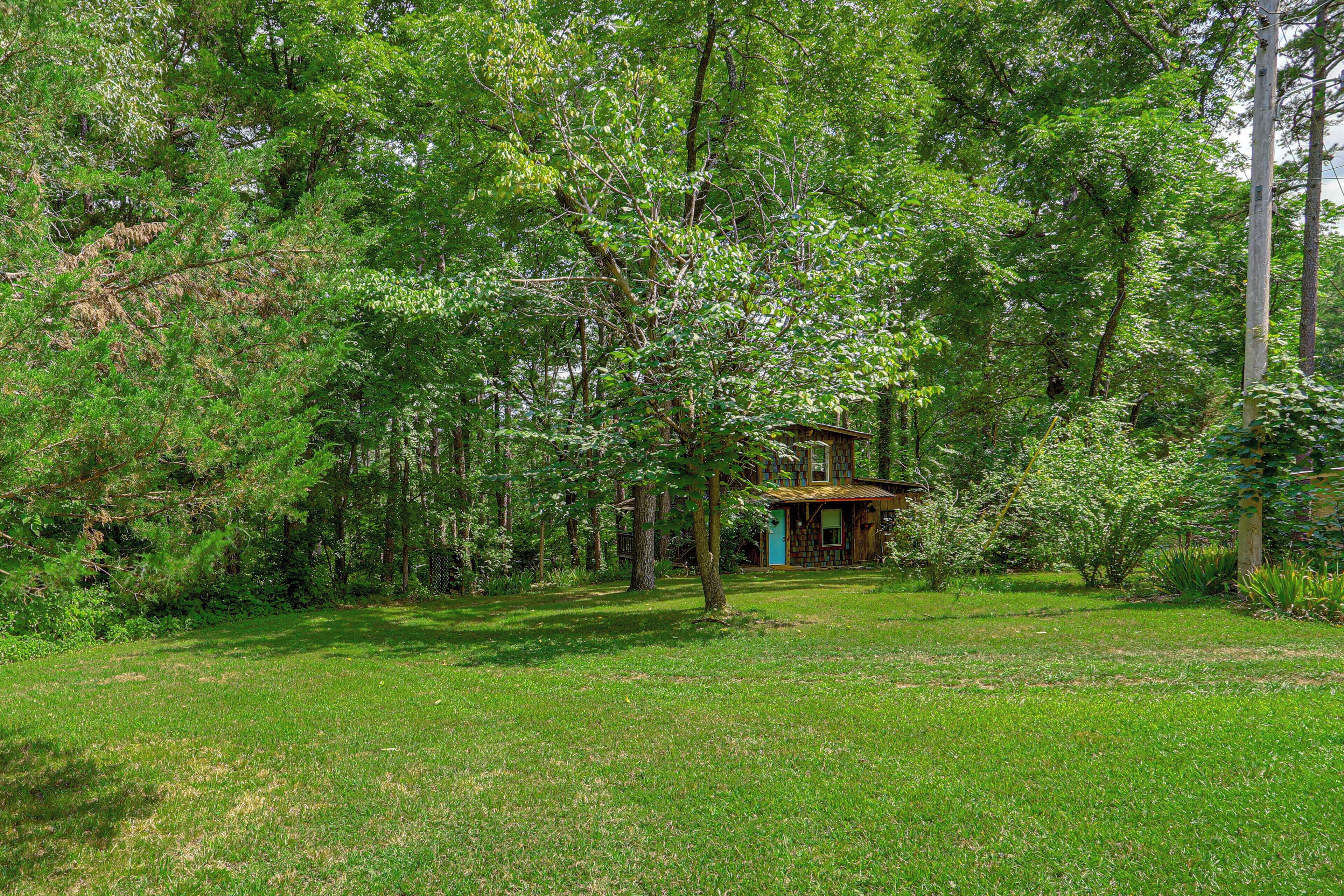 A rustic cabin surrounded by dense greenery and trees.