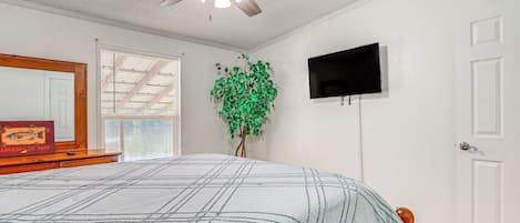 Une chambre à coucher avec un lit, un ventilateur de plafond, une télévision, une plante et une porte.