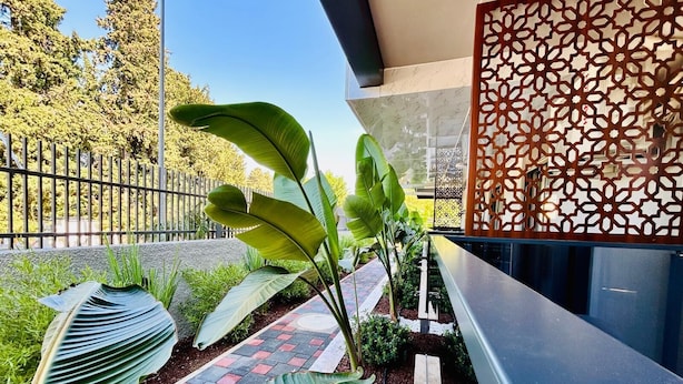 Un área exterior moderna con un sendero, plantas verdes grandes y un panel de madera decorativo.