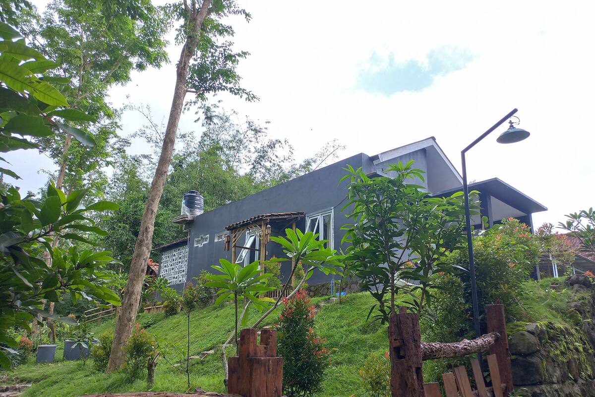 Une maison moderne avec un toit en pente, entourée d’une végétation luxuriante et d’une clôture en bois.