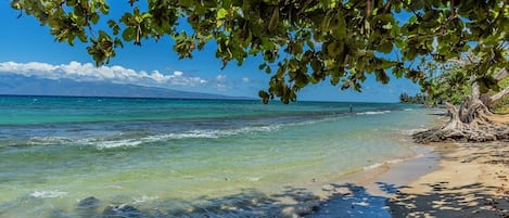 Appart'hôtel, 1 chambre | Plage | Plage à proximité