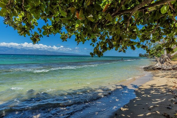 Condo, 1 quarto | Praia | Perto da praia