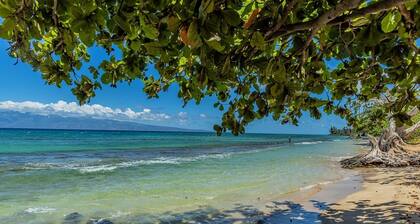 Paki Maui 411 1 Bedroom Condo
