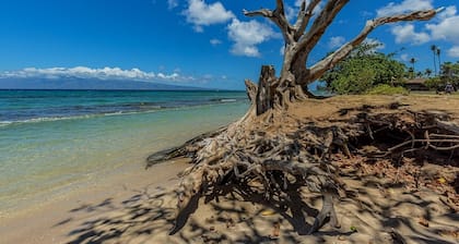 Paki Maui 411 1 Bedroom Condo