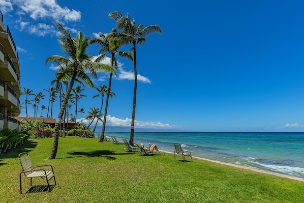 A beachfront hotel with palm trees, a pool area, and ocean views. - Paki Maui 411 1 Bedroom Condo (Lahaina)