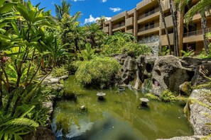 Condo, 1 quarto | Área da propriedade