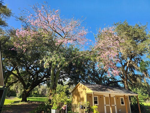 Charming 4-bedroom house with AC and WiFi near Orlando airport and lake nona 