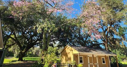 Charming 4-bedroom house with AC and WiFi near Orlando airport and lake nona