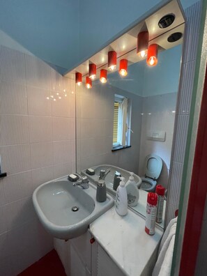 Shower, hair dryer, bidet, towels