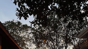 Um edifício com estrutura alongada, janelas amplas e telhado plano.