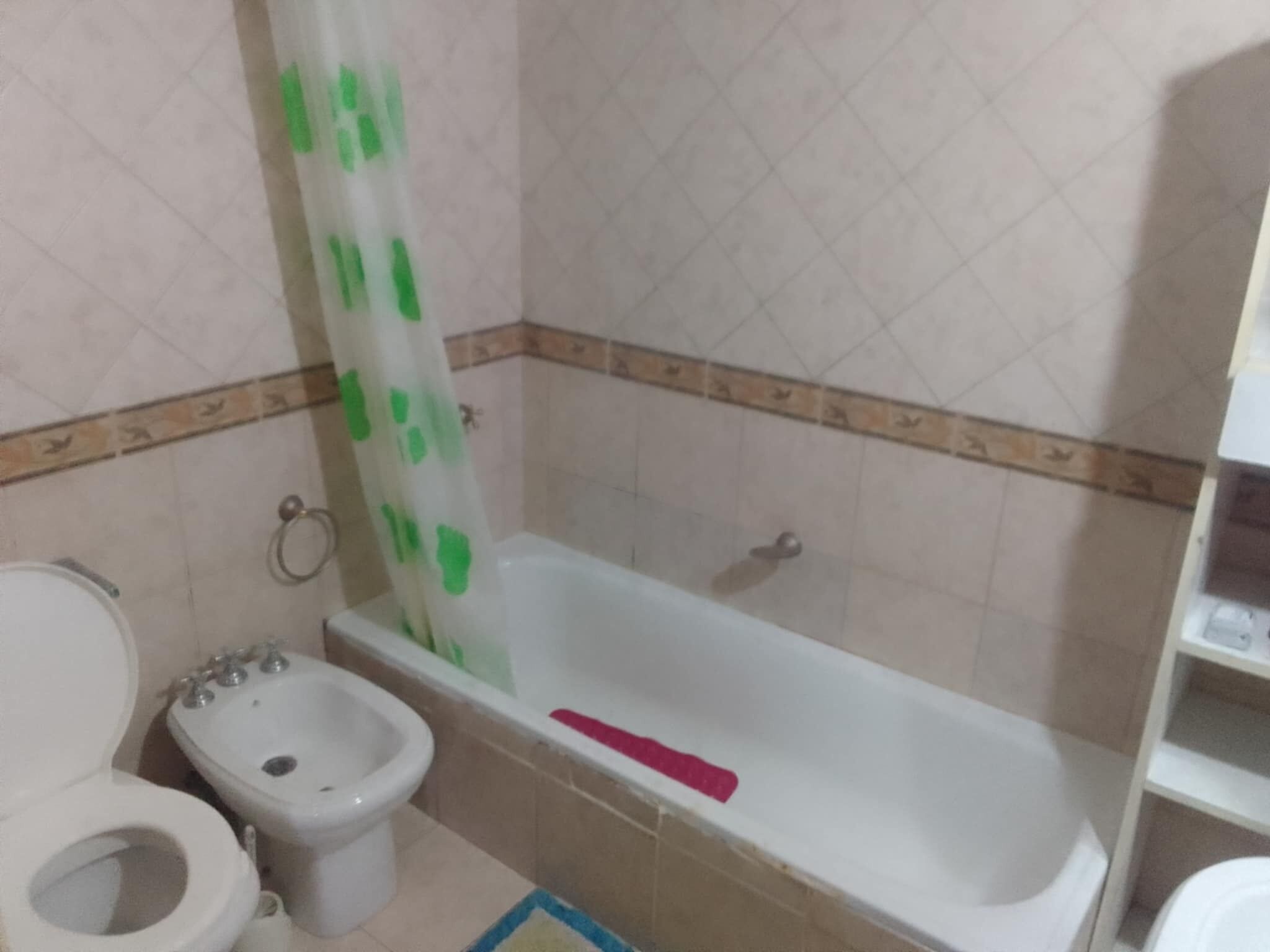 Bidet, toallas, jabón, papel higiénico