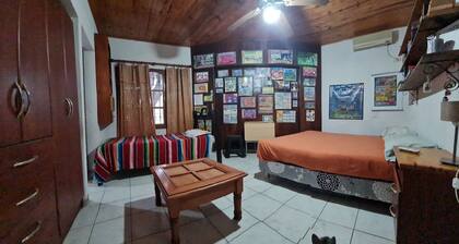 Artist Cultural Suite