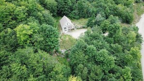Una casa rodeada de un denso bosque verde.