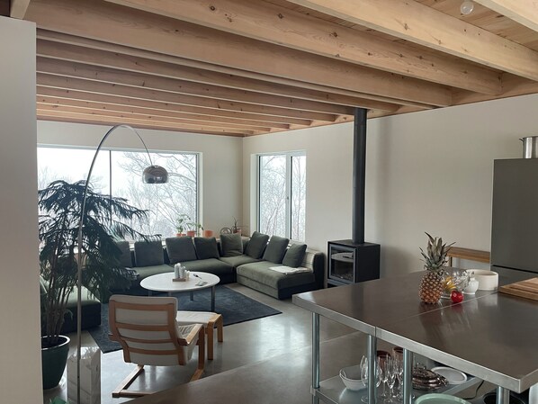 TV, fireplace, video games, books