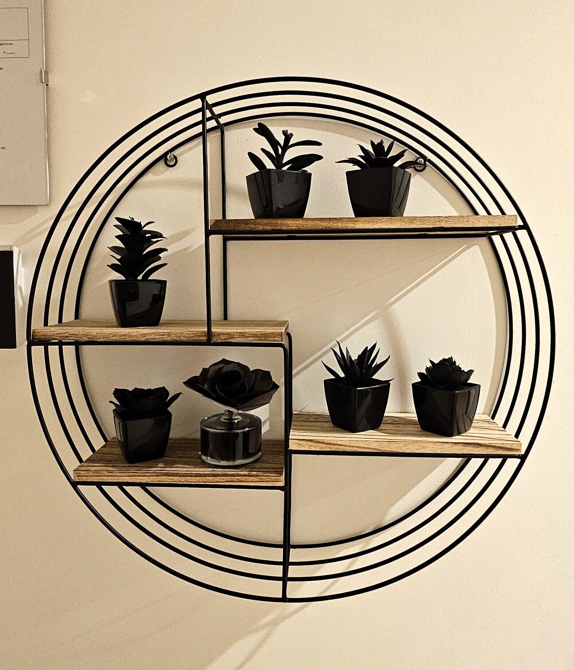 Un estante circular montado en la pared con varios compartimentos, cada uno sosteniendo una planta en maceta.