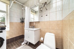 Shower, hair dryer