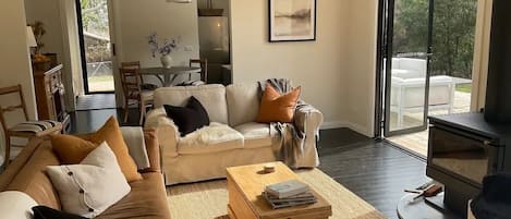 Smart TV, fireplace, books
