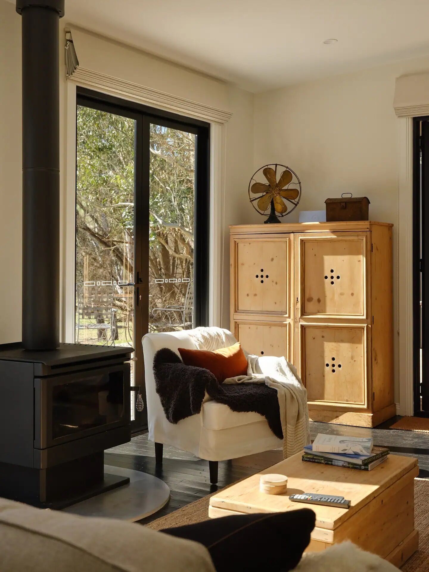 Smart TV, fireplace, books