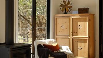 Smart TV, fireplace, books