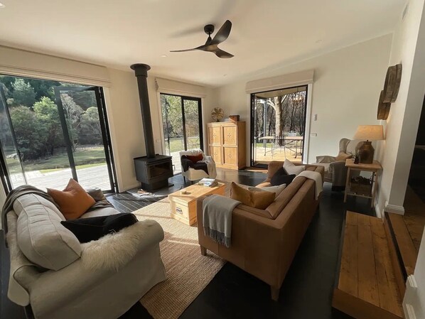 Smart TV, fireplace, books