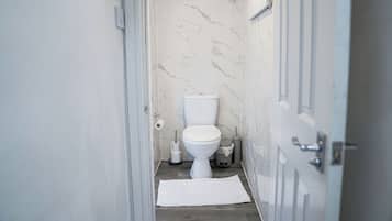 Hair dryer, towels, soap, toilet paper