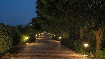 Garden view