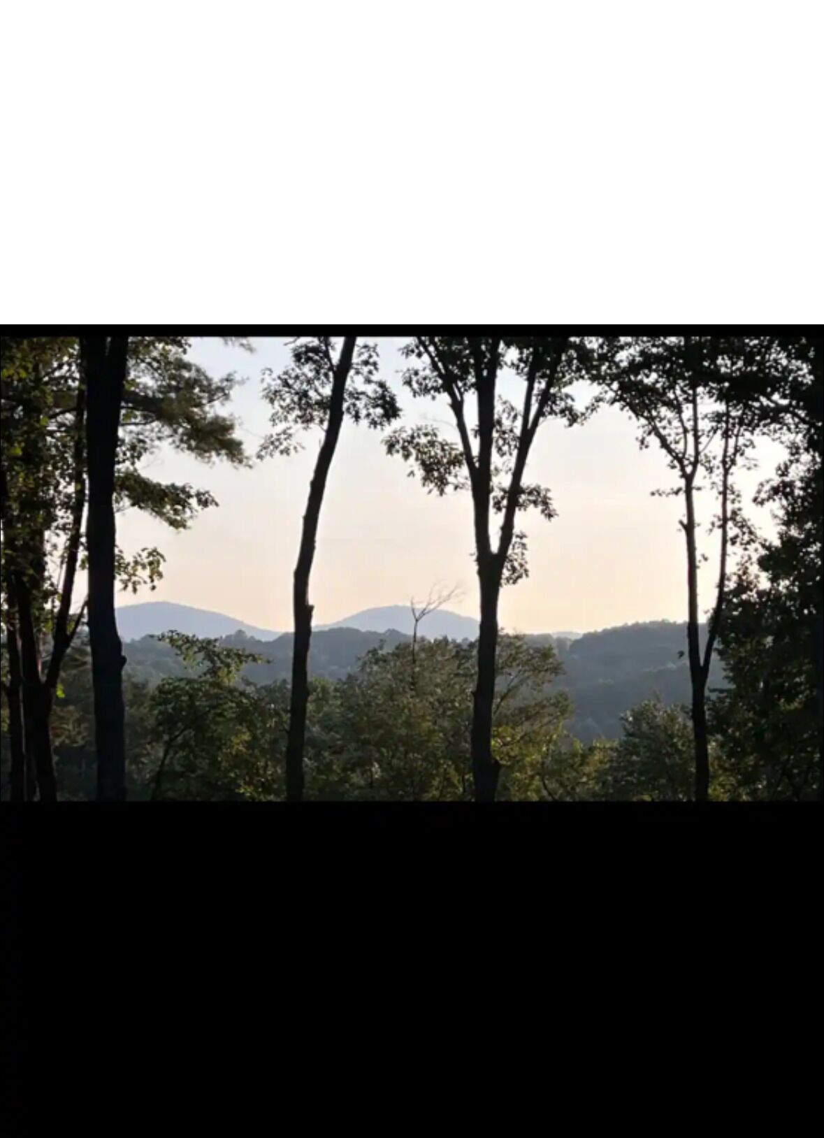 A view of a forested area with tall trees and distant mountains.