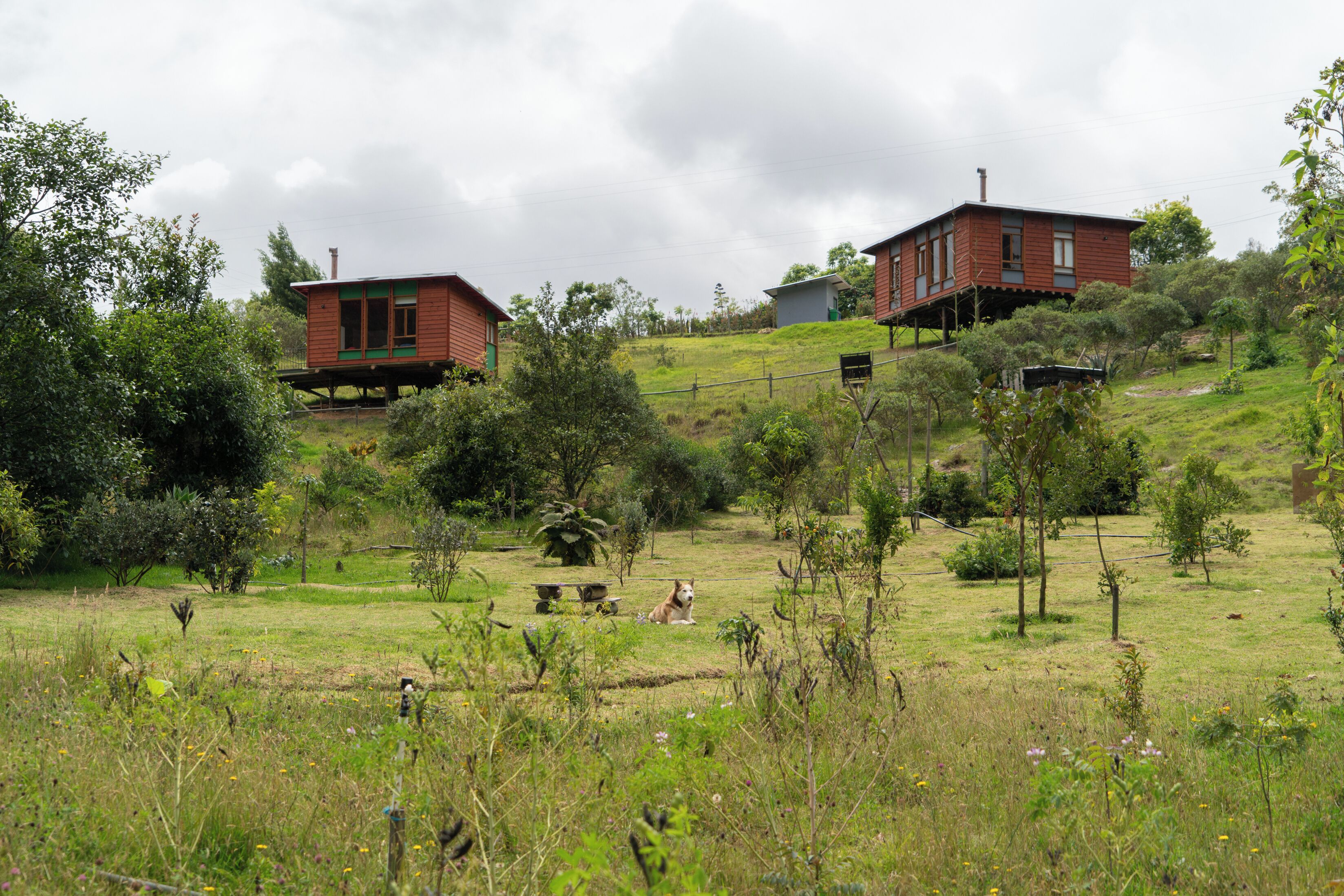 Jardines del alojamiento