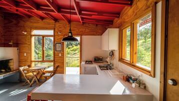 Fridge, oven, stovetop, electric kettle