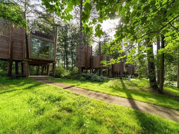 House | Garden - Belvilla The Birch in Forest Nook (Antoing)