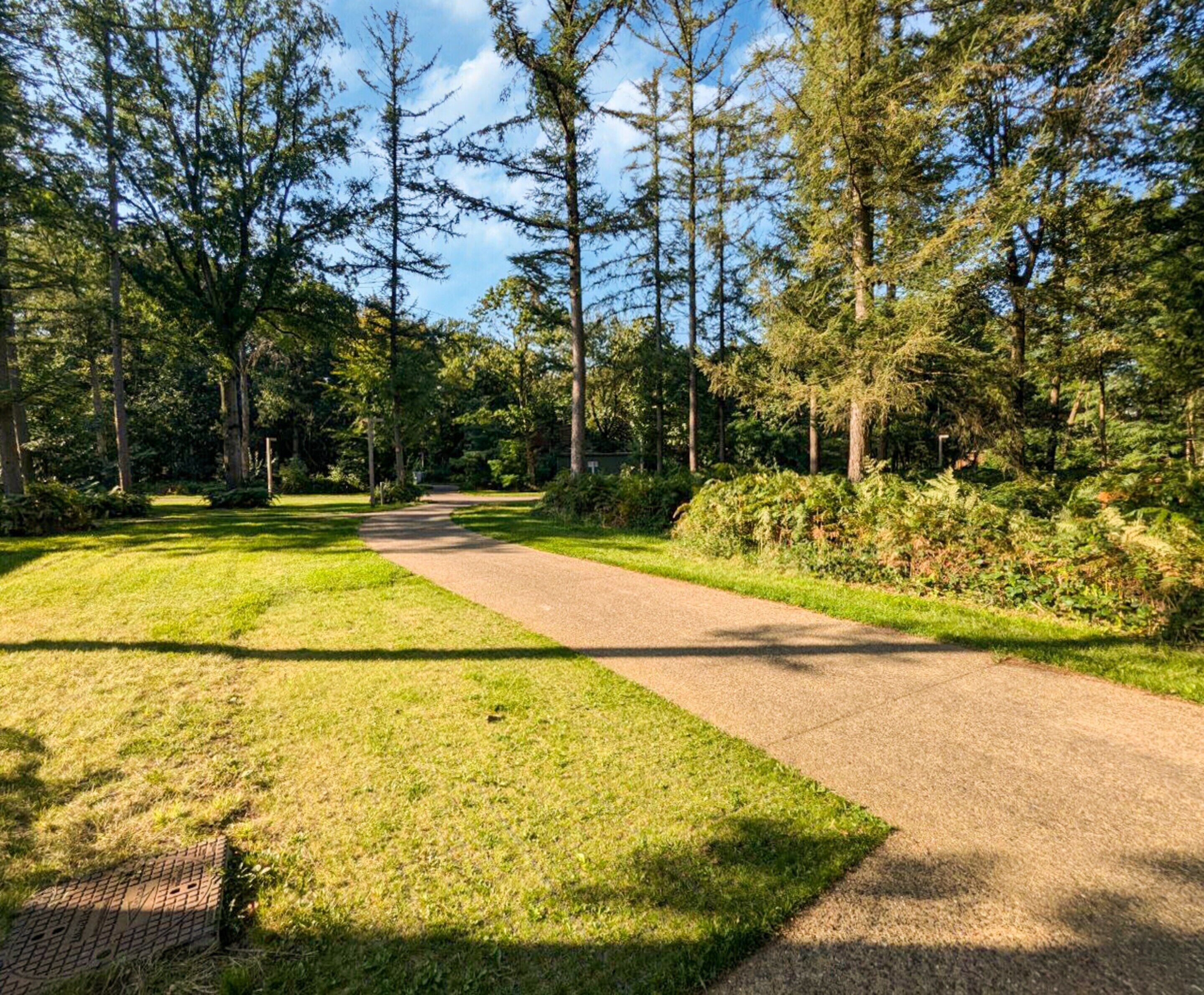 A paved pathway through a park with dense trees and grassy areas.