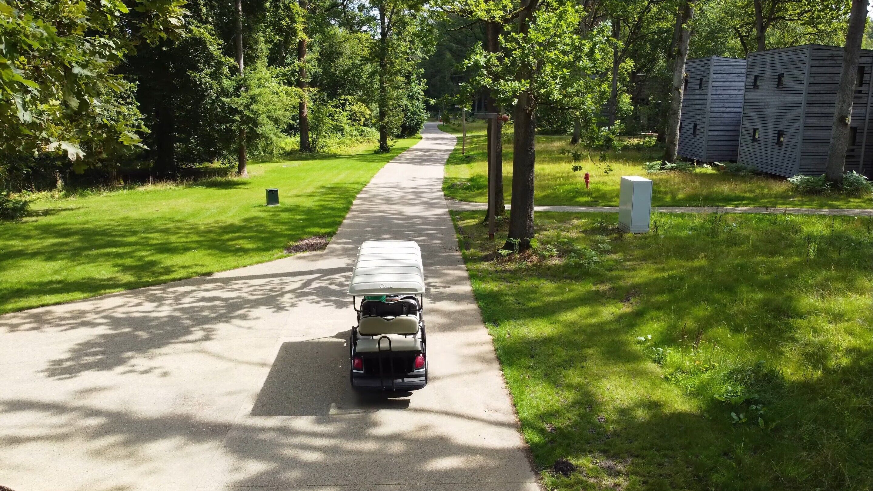 A wheelchair on a paved path in a green, tree-lined area.