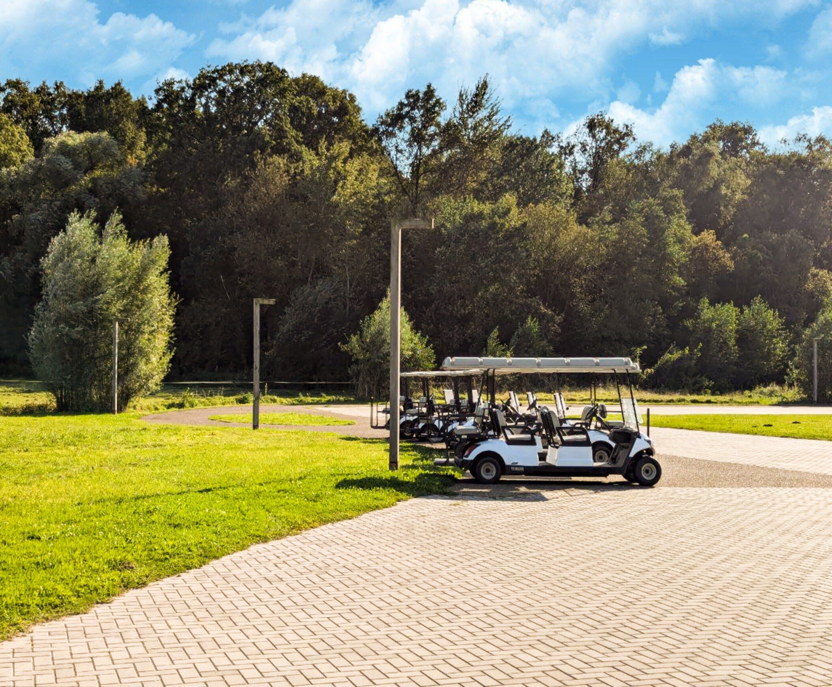 En golfvogn parkeret på en belagt overflade med en græsplæne og træer i baggrunden.
