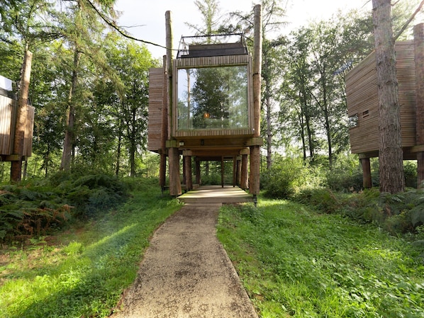 A treehouse structure with a glass viewing area, surrounded by dense forest.