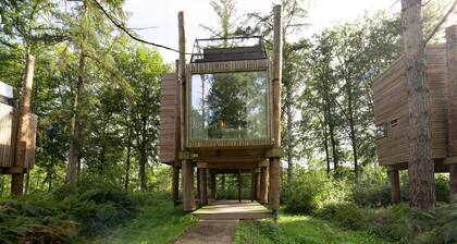 Retreat With Rooftop Views
