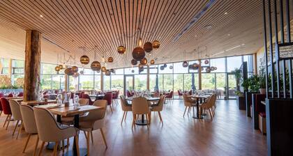 Serene Forest Escape