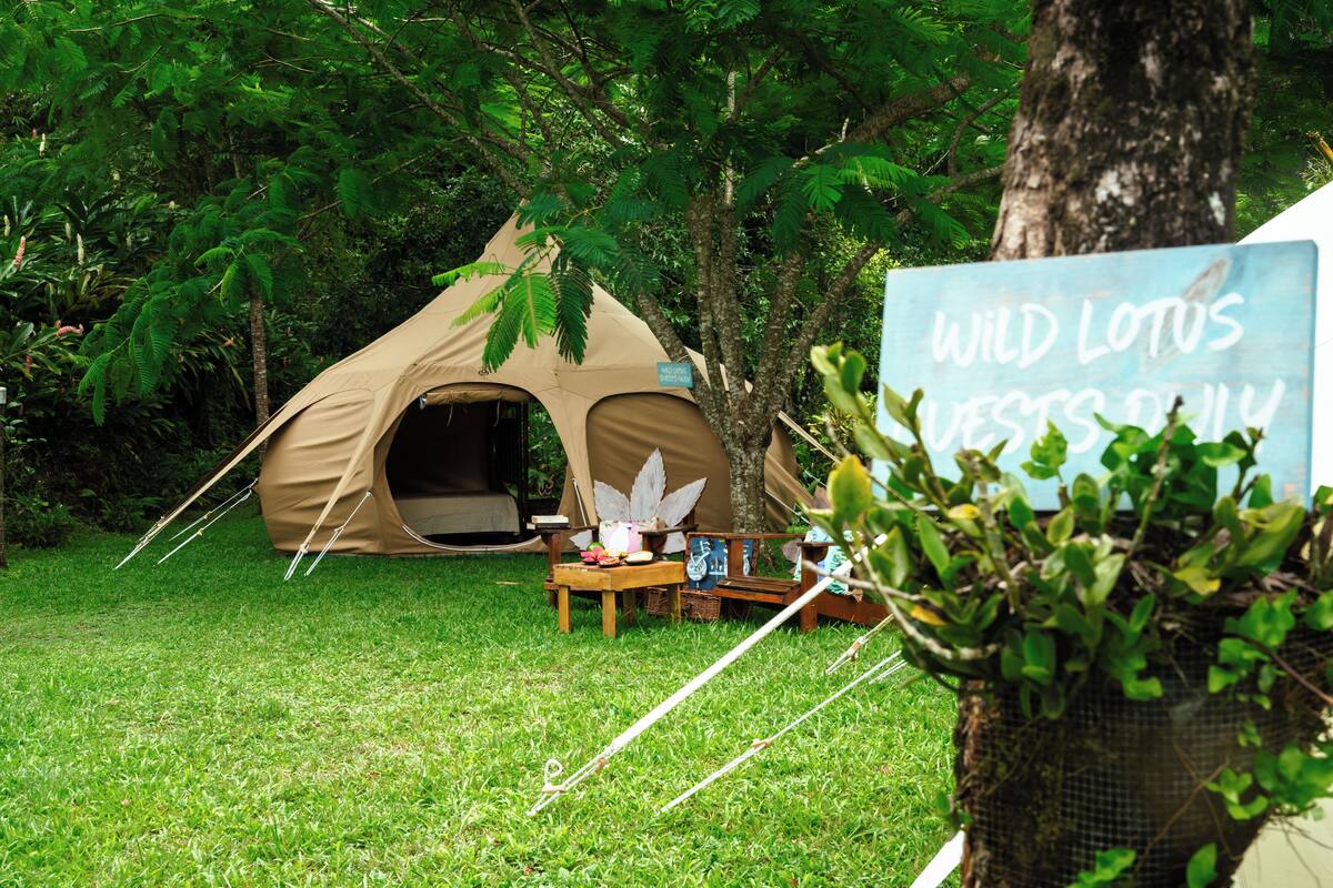 A tent labeled "Wild Lotus Retreats" in a grassy area with trees and a signboard.