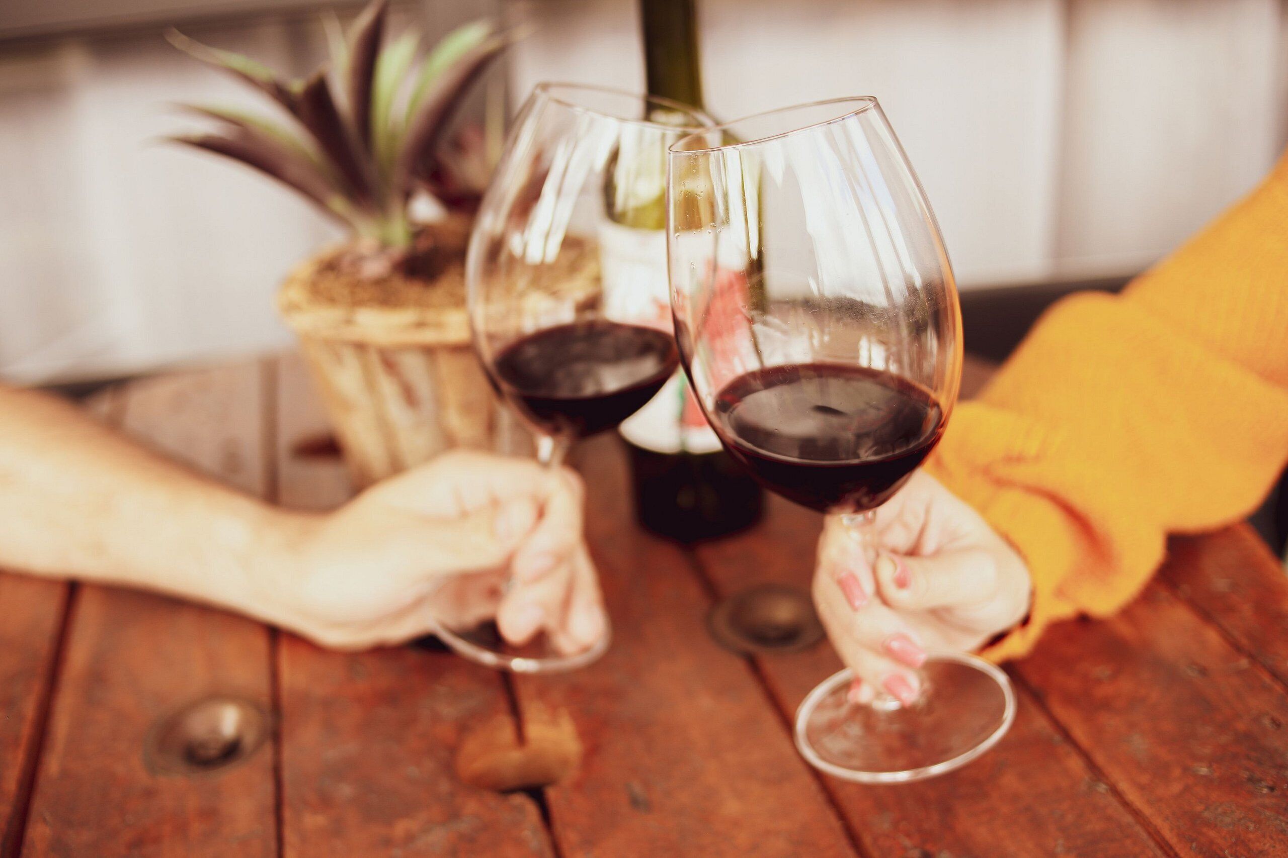 Zwei Personen halten Weingläser mit Rotwein, sitzend an einem Holztisch, im Hintergrund ein Topfpflanzen.
