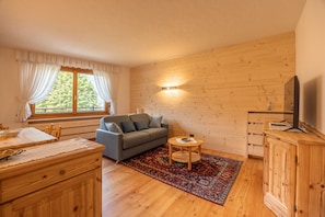 Fernseher