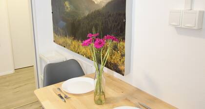 Gemütliches Apartment im Schwarzwald | Die perfekte Unterkunft für Kurztrips