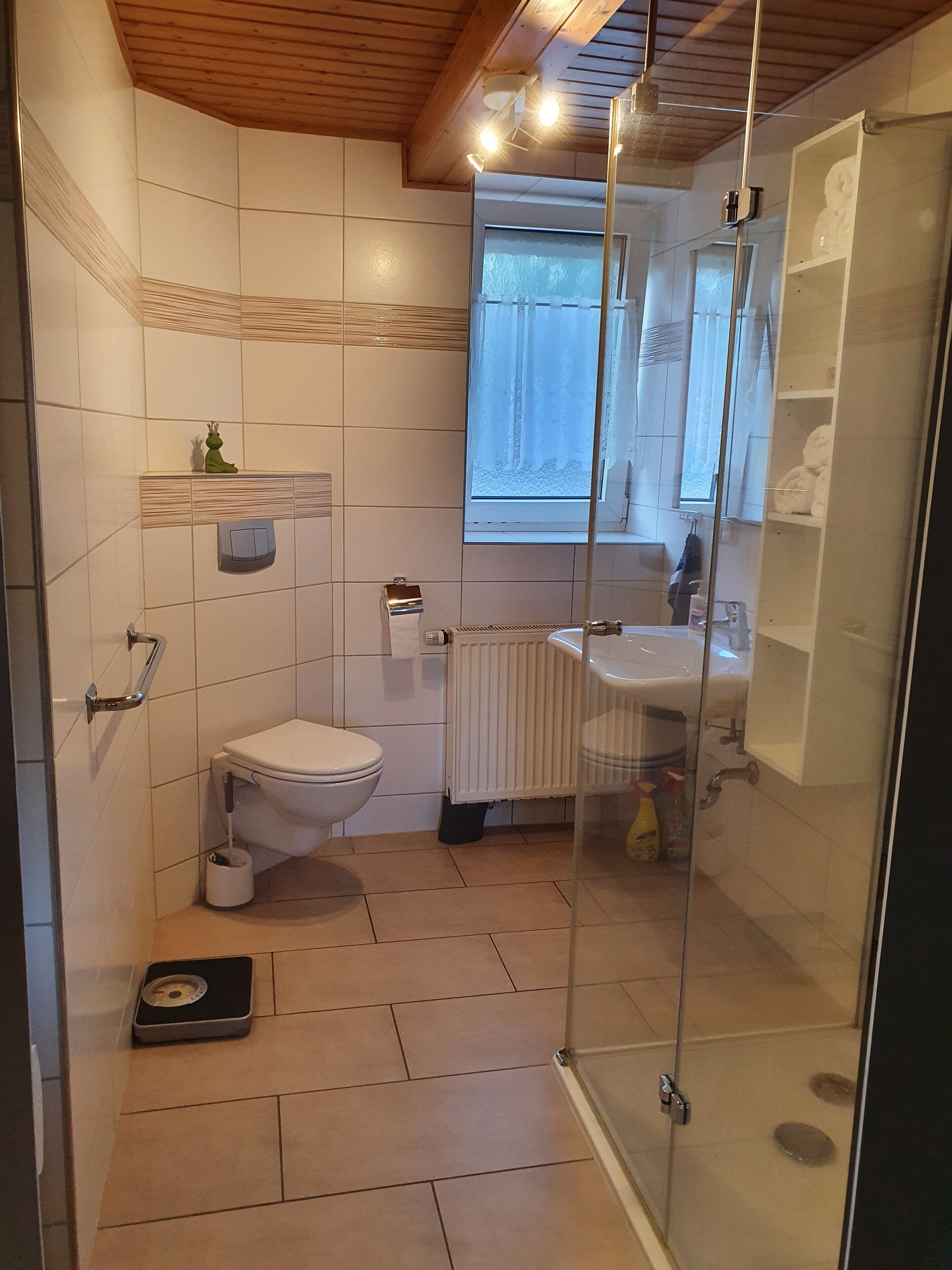 Hair dryer, towels, soap, toilet paper